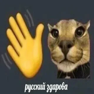 Telegram sticker 🛸 Больше стиков тут: @stikery4