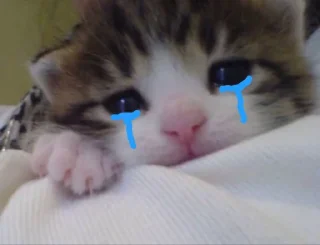 Telegram sticker 😢 ryoo pacal jeno