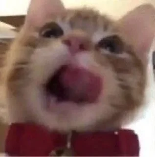 Telegram sticker 😋 ryoo pacal jeno