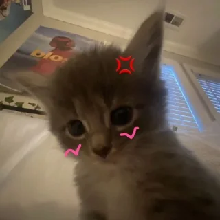 Video sticker 😋 ryoo pacal jeno