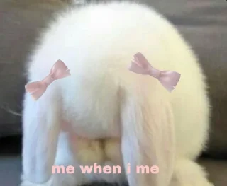 Telegram sticker 🧸 ryoo pacal jeno