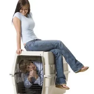 Telegram sticker 😋 Moanfornaina