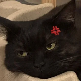 Sticker 👁‍🗨 { 🍥 @xMybw 𝖲𝗈𝖻𝗁𝖺𝗇 ⊹₊ ⋆ }