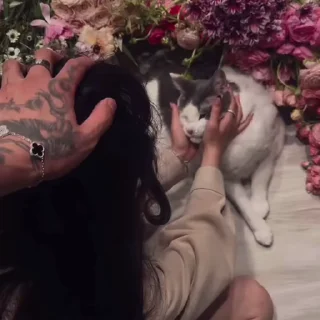 Video sticker 💘 182 @sickliy