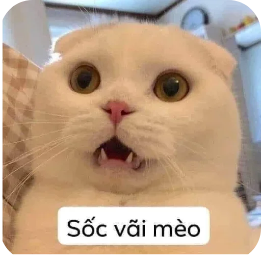 Telegram sticker 🐱 @codekmfree2