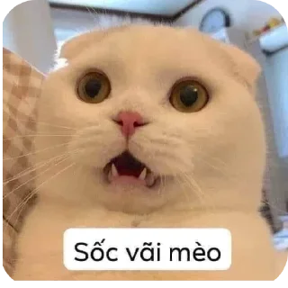 Telegram sticker 🐱 @codekmfree2
