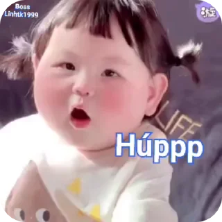 Video sticker 🌟 @codekmfree2