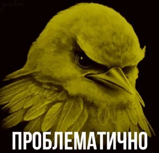 Telegram sticker 🐦 Птички @sozdat_stikery_bot