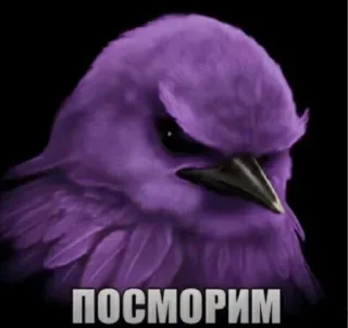 Telegram sticker 🐦 Птички @sozdat_stikery_bot