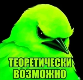 Video sticker 🐦 Птички @sozdat_stikery_bot