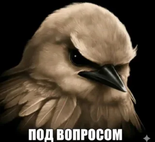 Telegram sticker 🐦 Птички @sozdat_stikery_bot