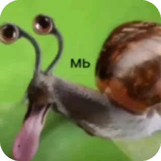 Video sticker 🫥 Ыыыы