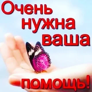 Telegram stiker 🙏 жухлики by @bmmenu