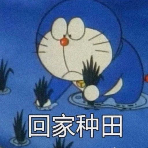 Telegram sticker 🌿 芊芊数据 @qian234