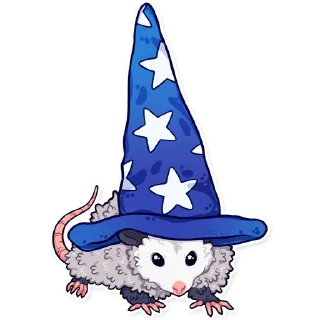 Video sticker 🪄 awesomepossum (@kotypic)