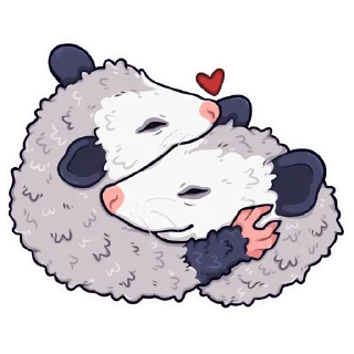 Video sticker ♥️ awesomepossum (@kotypic)