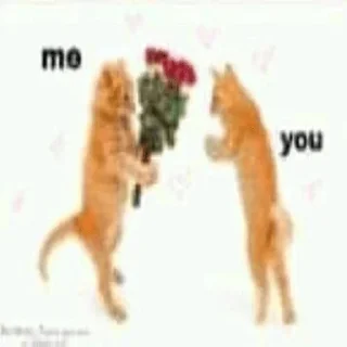 Telegram sticker 😻 ¿Sueñan los papus con ovejas grasosas?