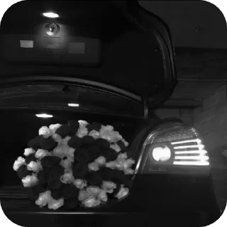 Video sticker 👍 @devytka_9