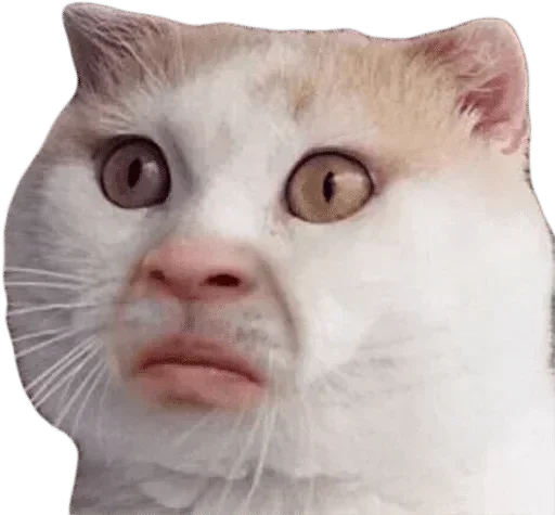 Telegram sticker 😕 @ASTRONAUT_SHIV MEMES ON TG :: @fStikBot