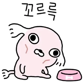 Video sticker ⭐ 누드개 강사장 @moe_sticker_bot