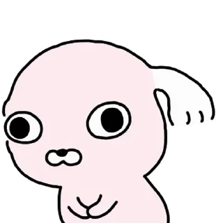Video sticker ⭐ 누드개 강사장 @moe_sticker_bot