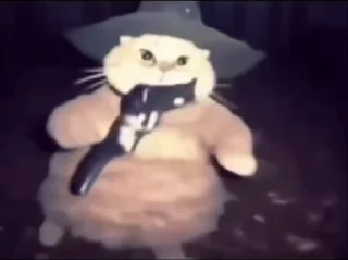 Video sticker 🪄 !ъЫ :: @fStikBot