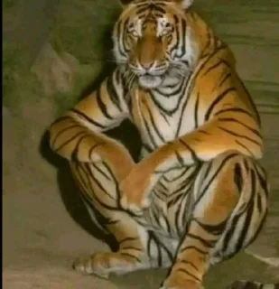 Telegram sticker 🙂 Me:@aras0016