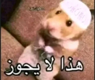 Telegram sticker ❤️ Me:@aras0016