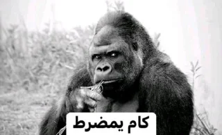 Telegram sticker 😑 Me:@aras0016