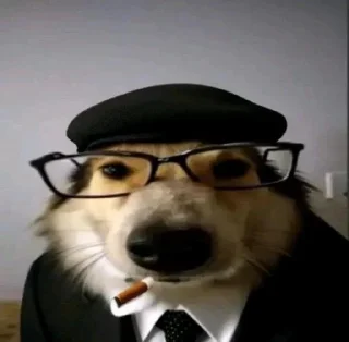 Video sticker 😁 Me:@aras0016