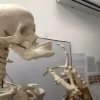 Telegram sticker 💀 Скелееб
