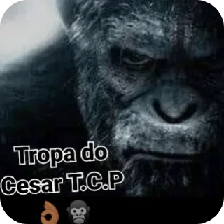 Telegram sticker 👍 faz o 3 @espdafavela