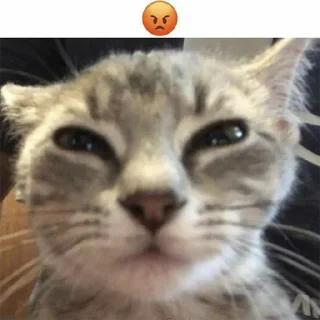 Telegram sticker 😡 в обіймах моря core ;3