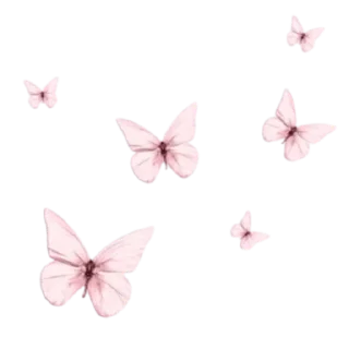 Video sticker 🦋 🏷 ملصقات خاصه لـ @TOLLAY_LIKE .