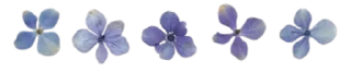 Telegram sticker 🌺 🏷 ملصقات خاصه لـ @TOLLAY_LIKE .