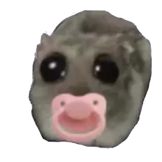 Video sticker 🥺 @yazyki1 🩷 <- канал со стиками