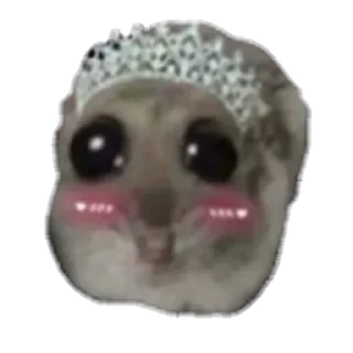 Video sticker ☺️ @yazyki1 🩷 <- канал со стиками