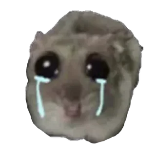 Telegram sticker 😭 @yazyki1 🩷 <- канал со стиками