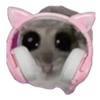 Video sticker 🎧 @yazyki1 🩷 <- канал со стиками