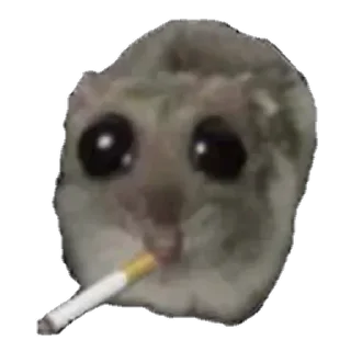Telegram sticker 🚬 @yazyki1 🩷 <- канал со стиками
