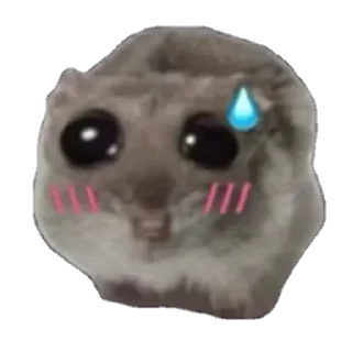 Telegram sticker 🥲 @yazyki1 🩷 <- канал со стиками
