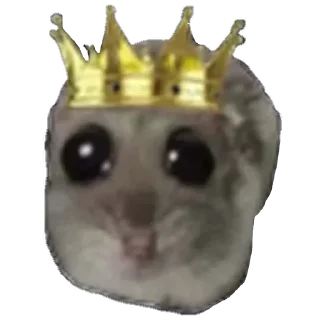 Telegram sticker 👑 @yazyki1 🩷 <- канал со стиками