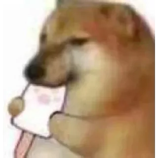Video sticker 🍦 RGstickers