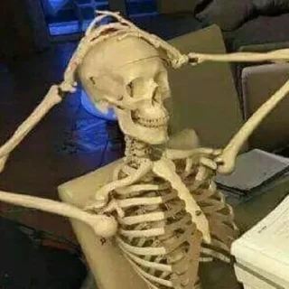 Video sticker 😎 Skeletons Top