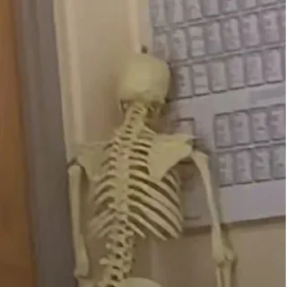 Telegram stiker ☠ Skeletons Top