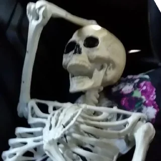 Video sticker 🤯 Skeletons Top