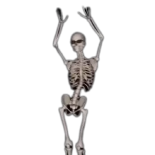 Telegram stiker 💃 Skeletons Top