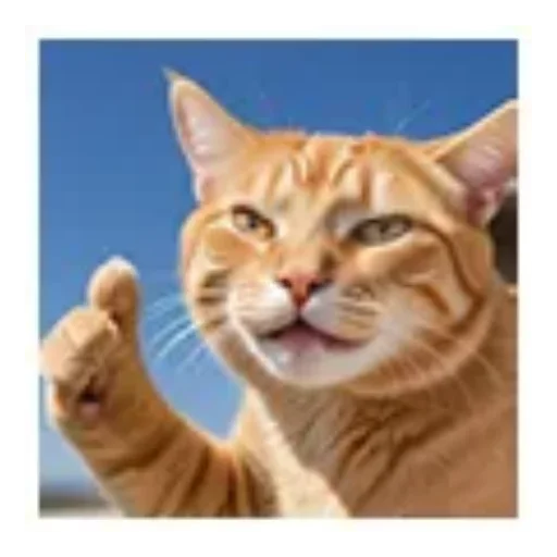 Telegram sticker 🐱 D 5 M  F 4 X