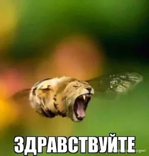 Video sticker 🤚 ааа какой @lydvok_cringe классный pt.2