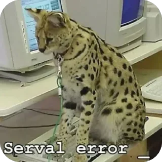 Video sticker 👾 Цяточки :: @fStikBot